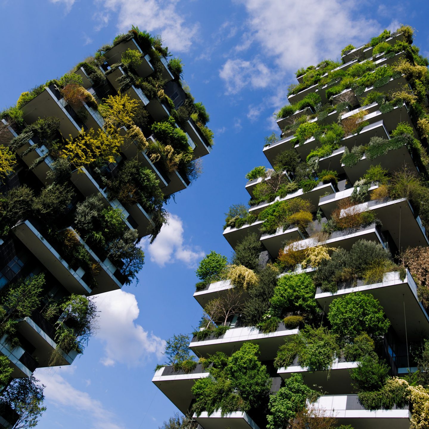 La green architecture del Bosco Verticale